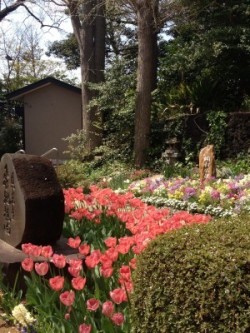 境木地蔵尊のお地蔵さんは商売繁盛のご利益がある！！？